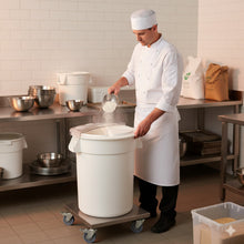 Cargar imagen en el visor de la galería, ALMACENADOR DE HIELOS Y GRANOS RED 80 L