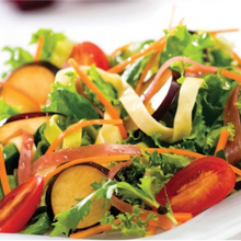 Cargar imagen en el visor de la galería, DISCO DE RALLADO 10 MM P/PROAL-550