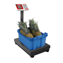 Cargar imagen en el visor de la galería, BASCULA 400 KG PLATAFORMA PLEGABLE