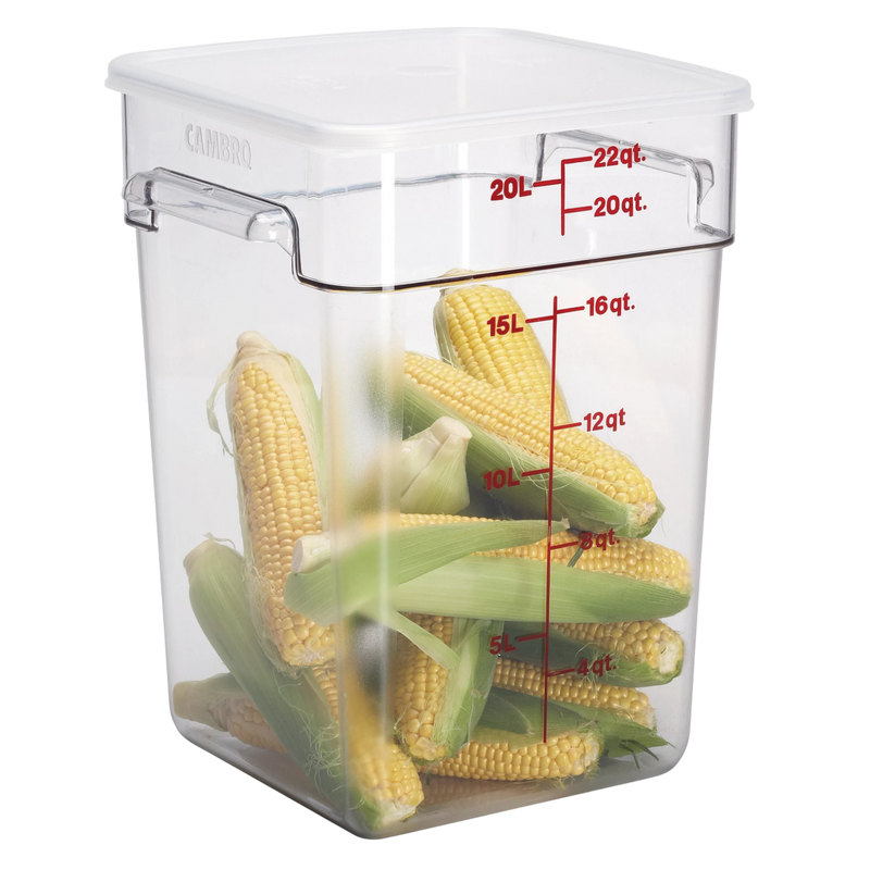 CONTENEDOR CUAD 22 QT CAMWEAR