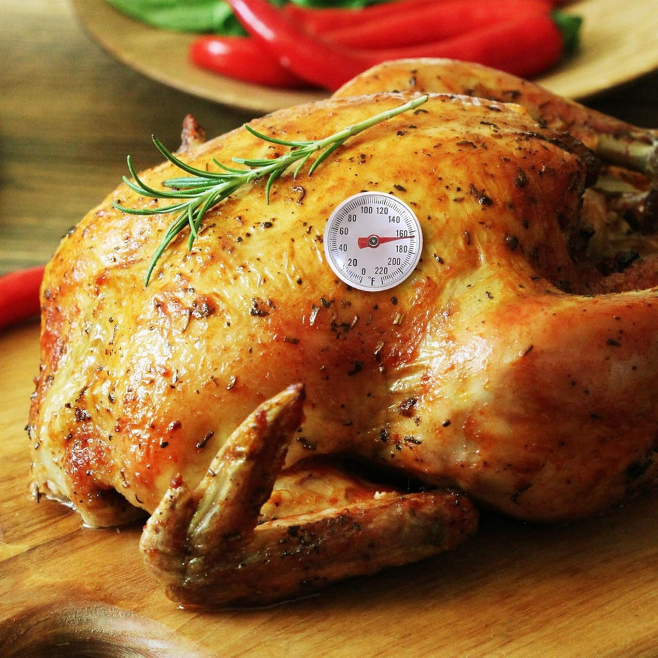 TERMOMETRO BOLSILLO C/FUNDA -40 A 160 F