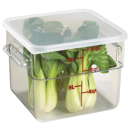 CONTENEDOR CUAD 12 QT CAMWEAR