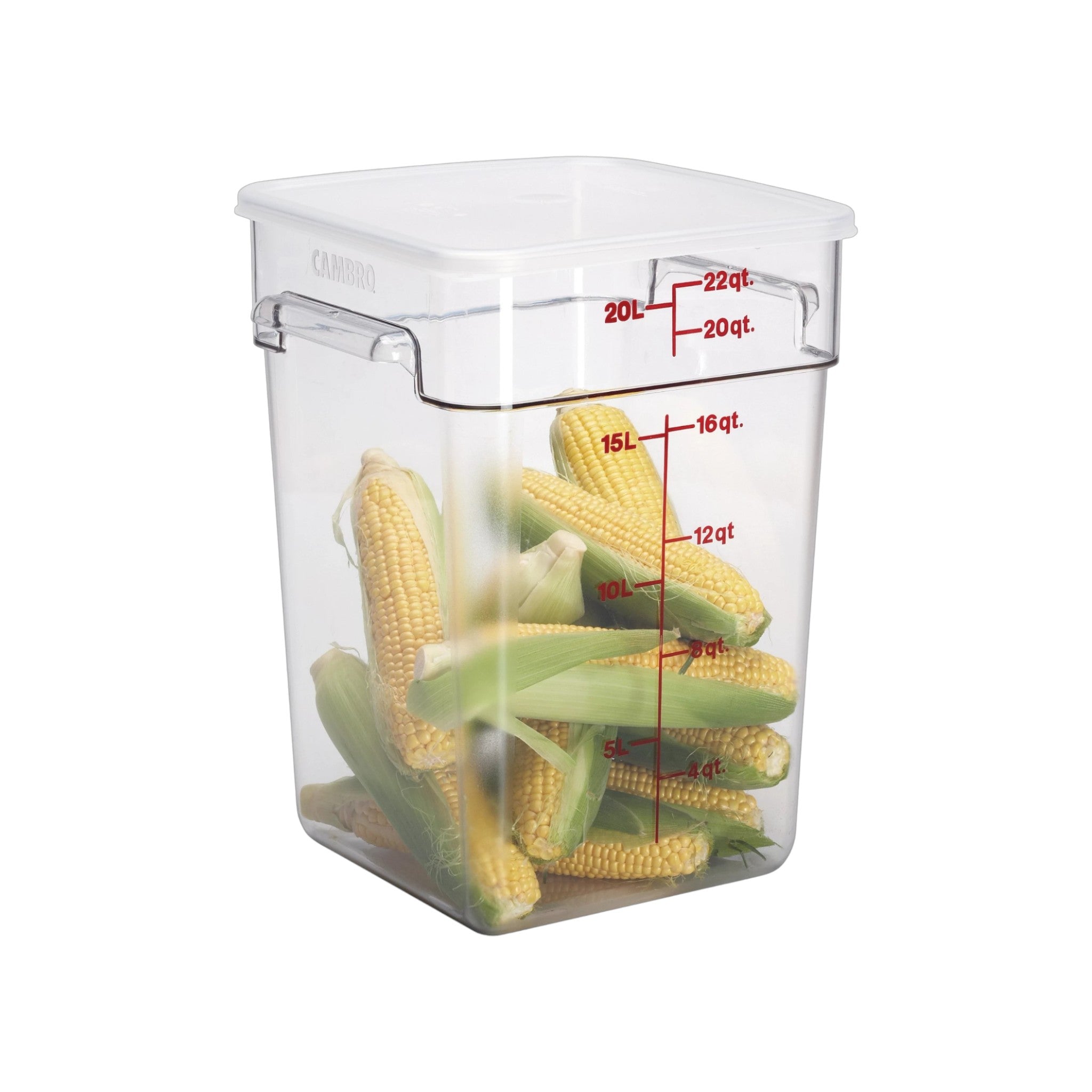CONTENEDOR CUAD 22 QT CAMWEAR