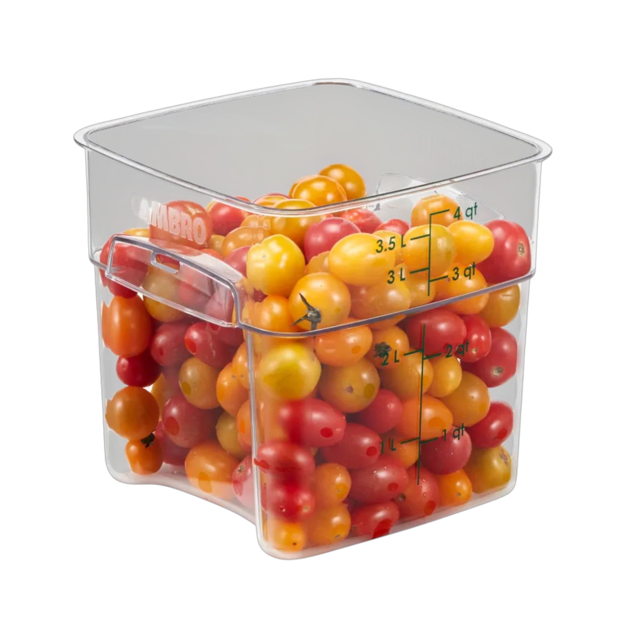 CONTENEDOR FRESH PRO 04 QT CAMSQUARES