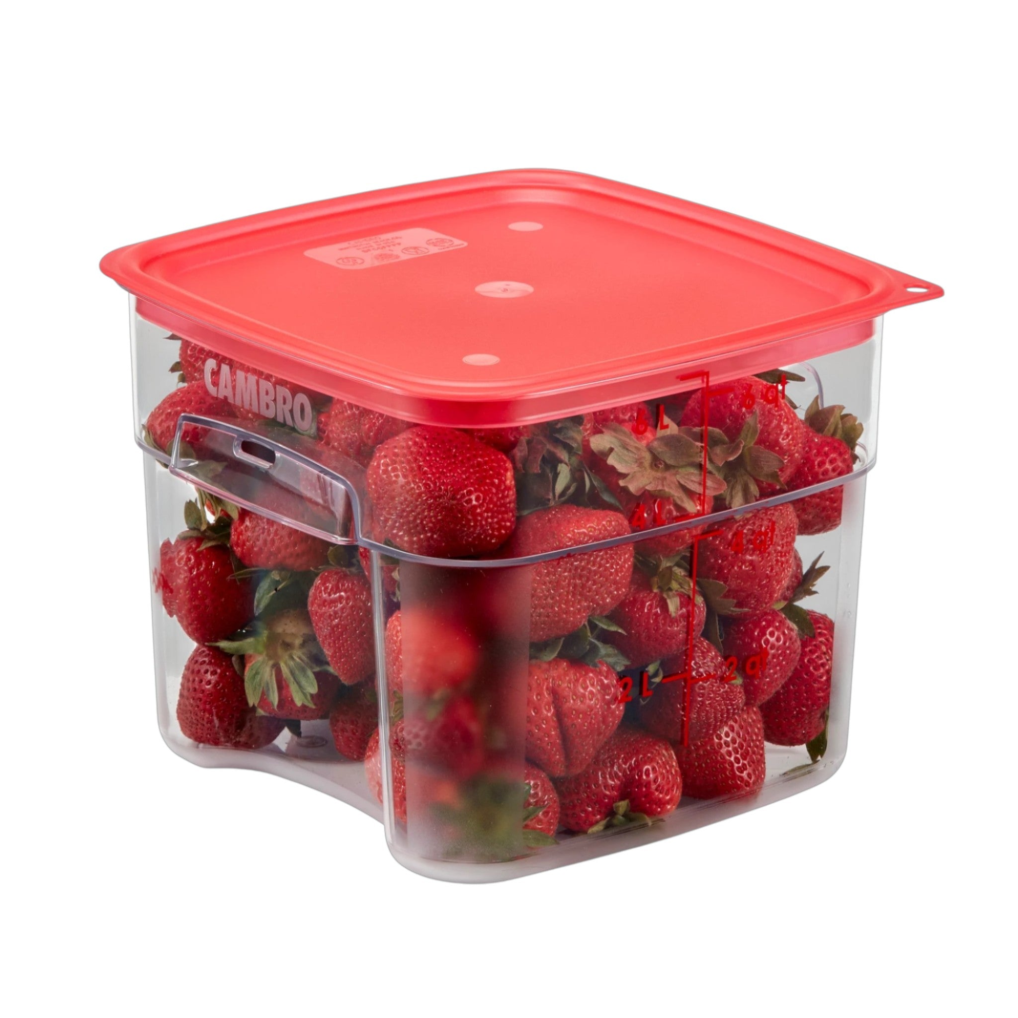 CONTENEDOR FRESH PRO 06 QT CAMSQUARES