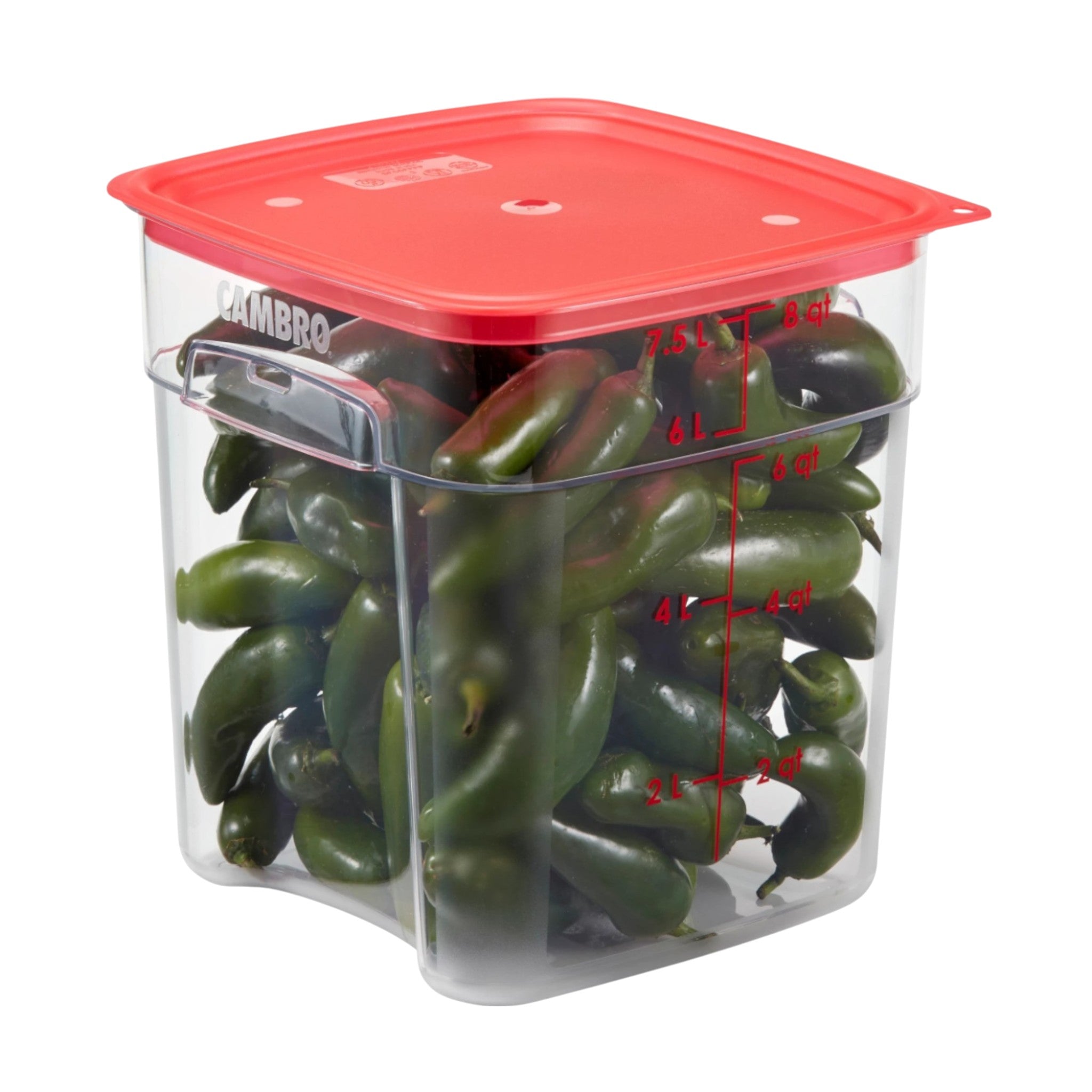 CONTENEDOR FRESH PRO 08 QT CAMSQUARES