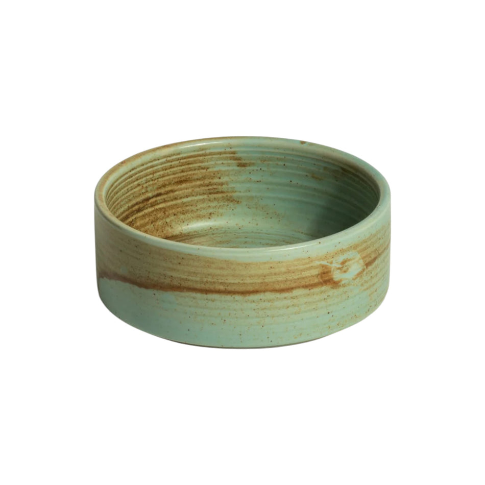 CORAL TAZON APILABLE 13 CM 450 ML