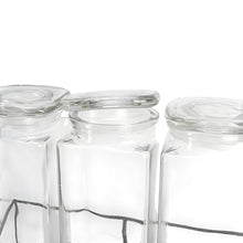 Cargar imagen en el visor de la galería, DISPENSADOR TRIPLE 3 LT C/U C/BASE METAL
