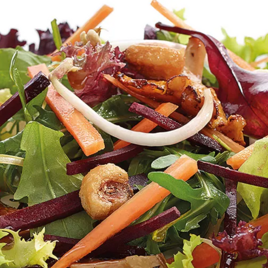 DISCO DE RALLADO 10 MM P/PROAL-550