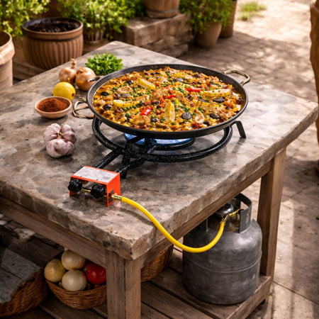 PAELLERO GAS BUTANO DE 50 CM LACOR