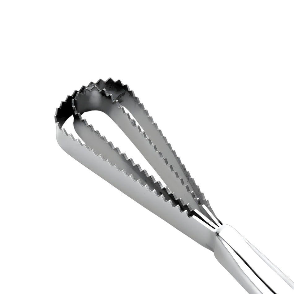RASPADOR DE ESCAMAS IBILI