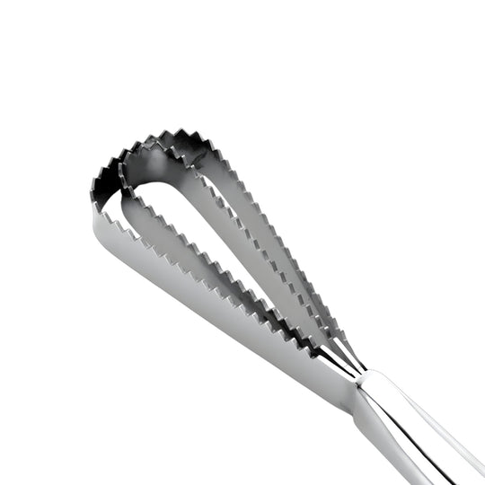 RASPADOR DE ESCAMAS IBILI