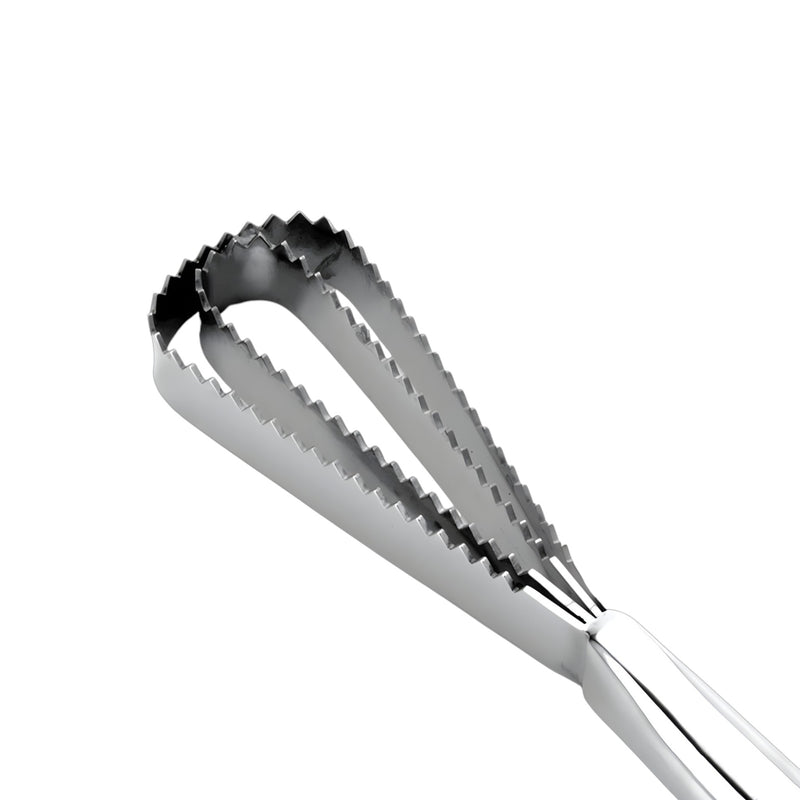 RASPADOR DE ESCAMAS IBILI