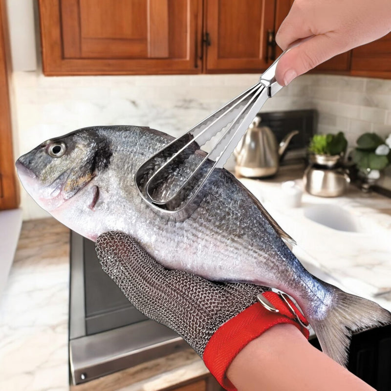 RASPADOR DE ESCAMAS IBILI