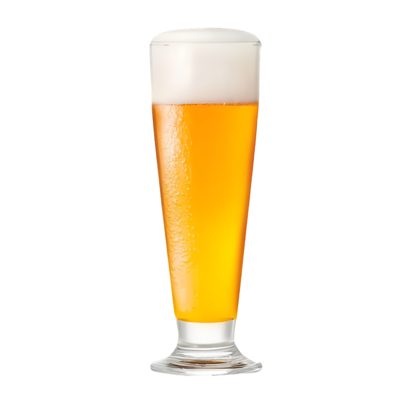 VASO CERVECERO TULIPA 300 ML