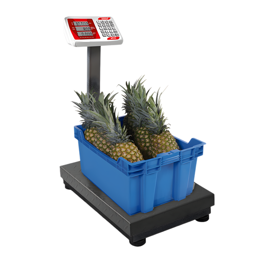 BASCULA 400 KG PLATAFORMA PLEGABLE