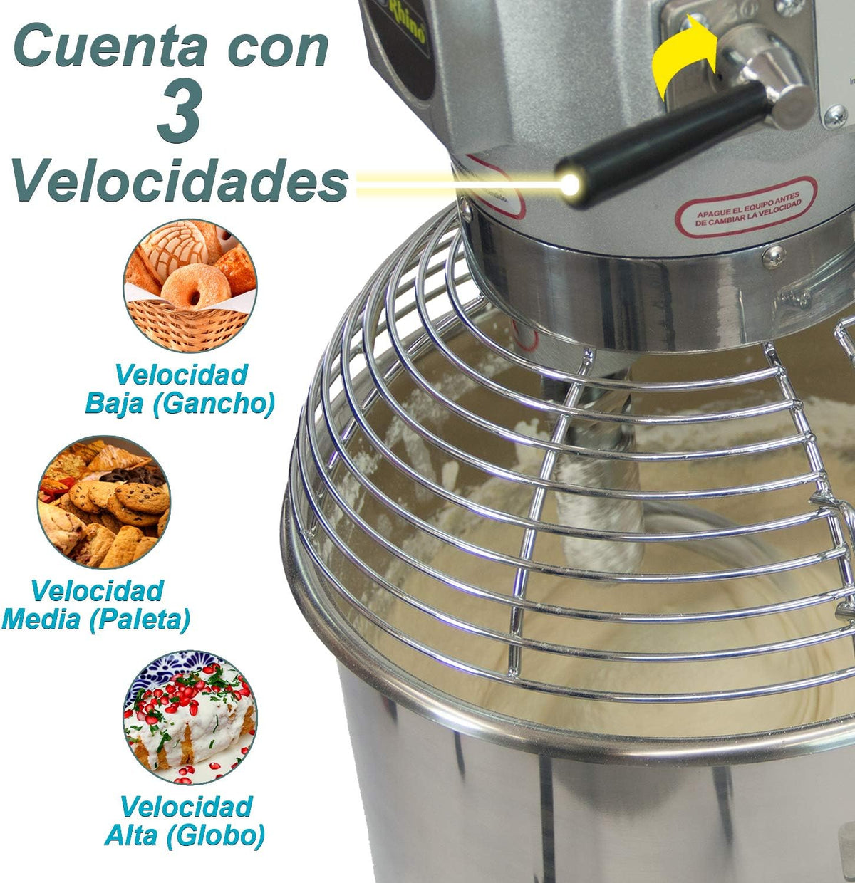 BATIDORA PLANETARIA 10 LT 450 W